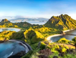 Komodo Island Tour: Panduan Liburan Seru Bersama Top Komodo Tour