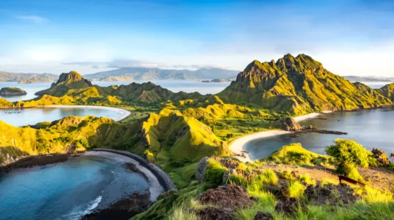 Komodo Island Tour Image